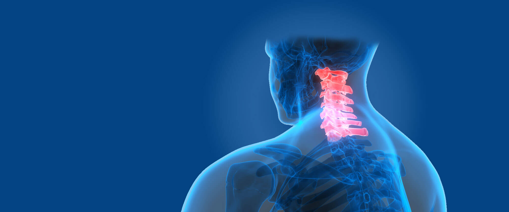 3D rendering of a man's neck bones with the vertebra highlighted in pink